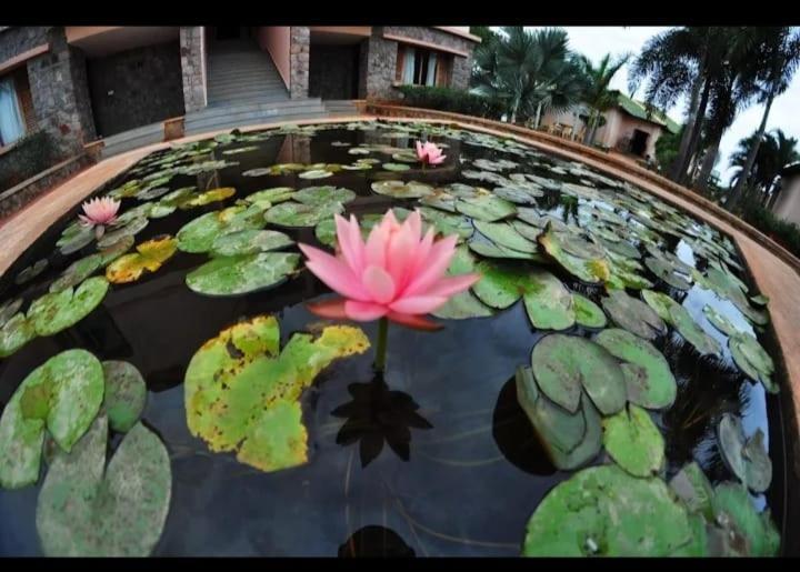 Krishna Heritage Resort Badami Exteriör bild